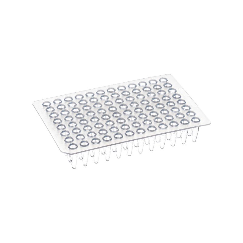 0.2 mL PCR Plate, Non-Skirted - Image 2