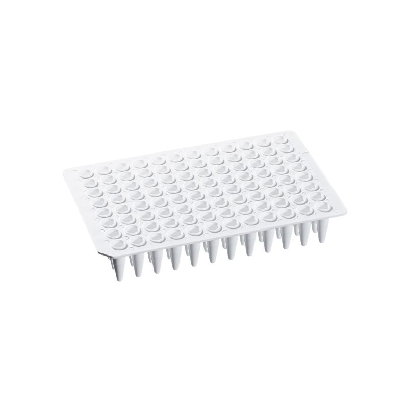 0.2 mL PCR Plate, Non-Skirted - Image 4