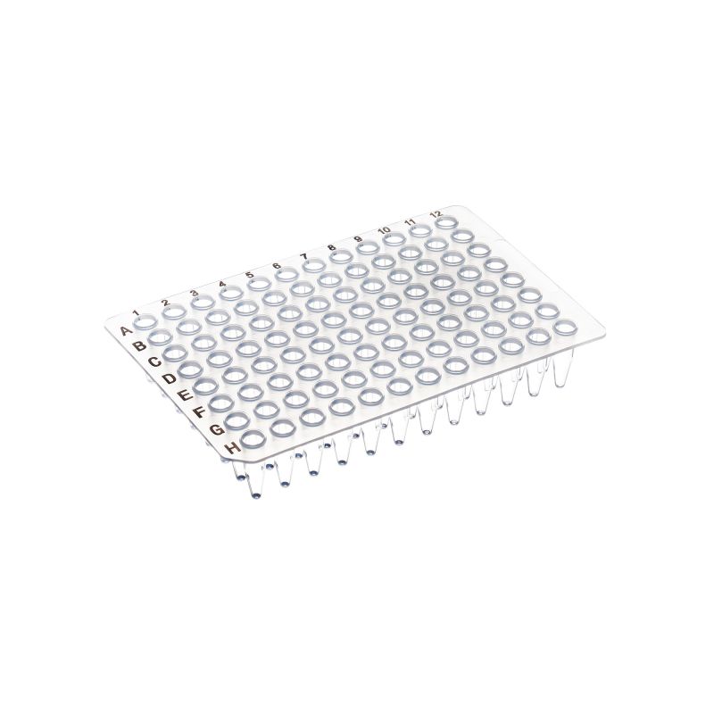 0.2 mL PCR Plate, Non-Skirted