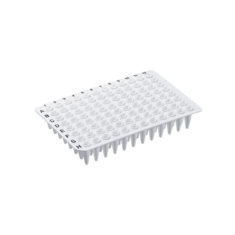 0.2 mL PCR Plate, Non-Skirted - Image 3