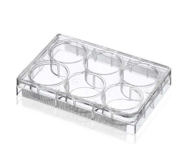 6-Well Treated Cell Culture Plates, Sterile,