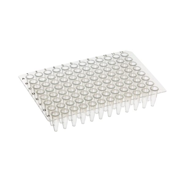 0.2 mL PCR Plate, Non-Skirted
