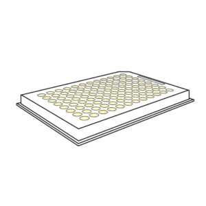 PCR Plate