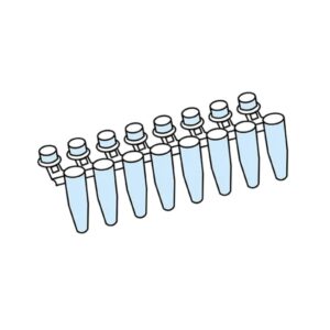 PCR strips