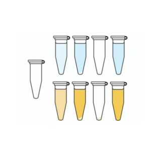 Micro Centrifuge Tube