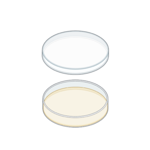 Petri Dishes