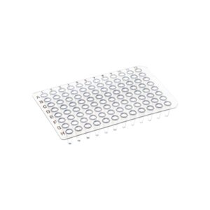 0.1 mL PCR Plate, Non-Skirted