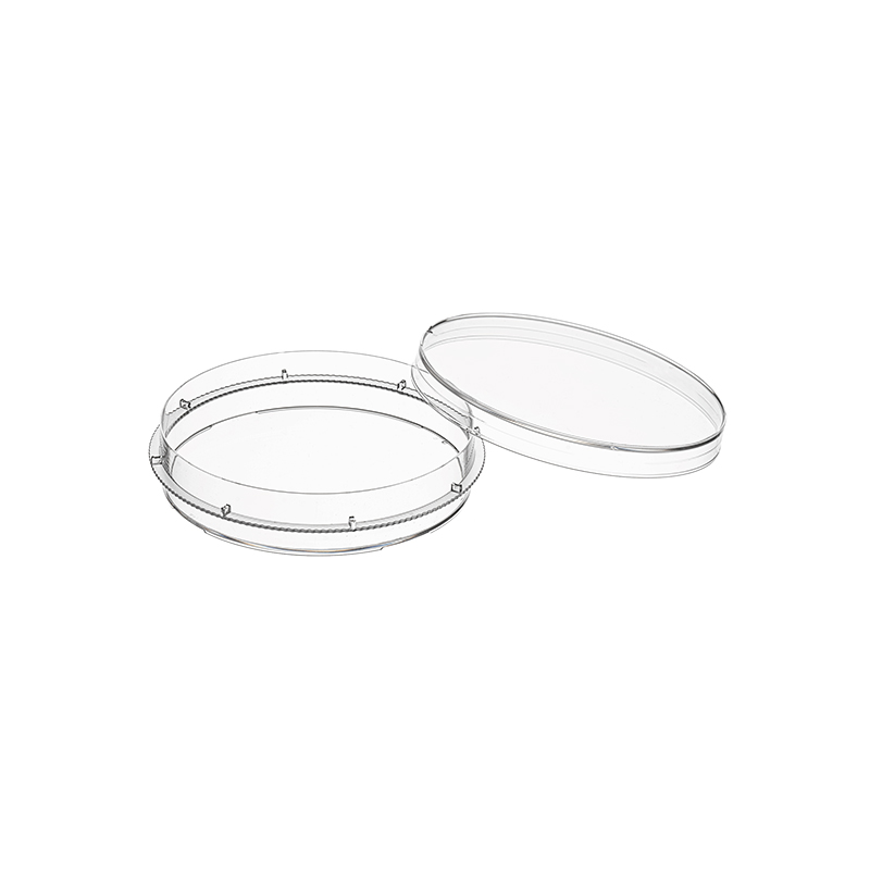 Cell Culture Dish , 100mm , TC treatment , Sterile - Image 2